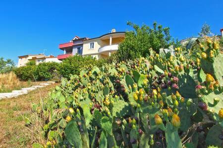 Villa Lucija Pula Exteriör bild